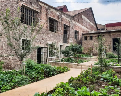 Victoria Yards